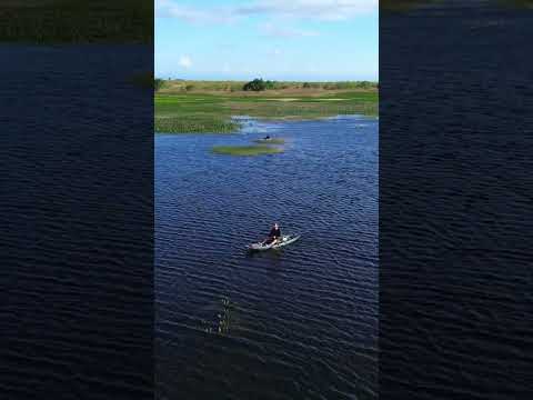Lago do Caracaranã #pesca  #amazonia #roraima #andreyterada #pescaria