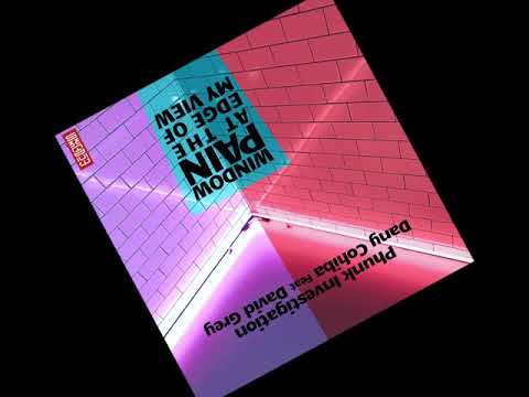 Phunk Investigation & Dany Cohiba ft David Grey - Window Pain At The Edge Of My View