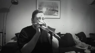 Video thumbnail for Bye bye Bird. Sonny Boy Williamson II. Sennheiser MD441-N. by Serko Nieminen