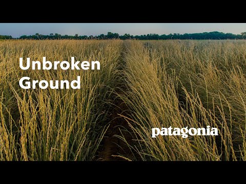 Unbroken Ground