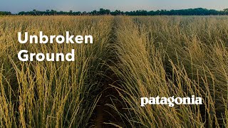 Unbroken Ground