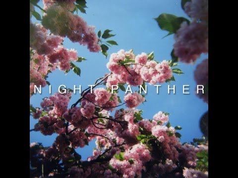 Night Panther - Fire