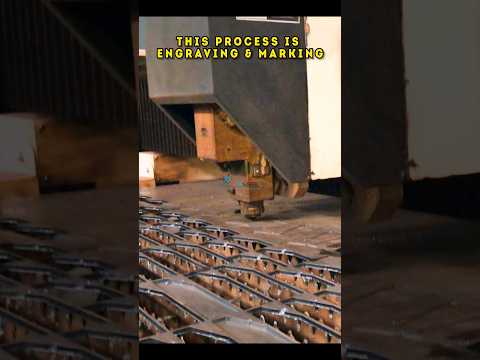 Hydraulic Press Brakes
