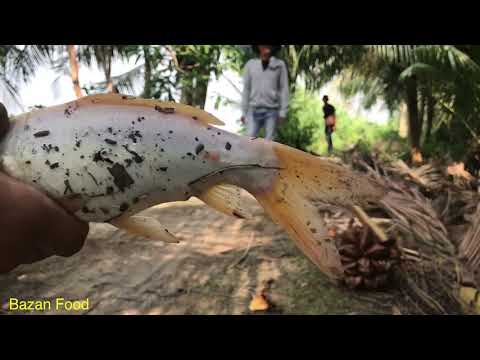 Điểm câu thiên nhiên Sài Gòn mới nhất | Cá đa dạng nhất | Bazan Food