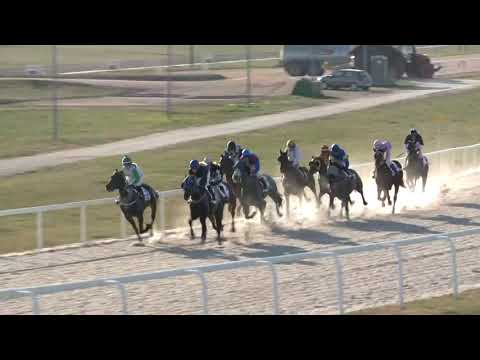 2019.03.31. 08. futam - HÓVIRÁG HENDIKEP (V.o.) (szintetikus pálya)