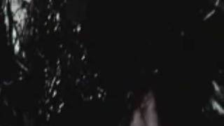 Cryptic Wintermoon  When Daylight Dies