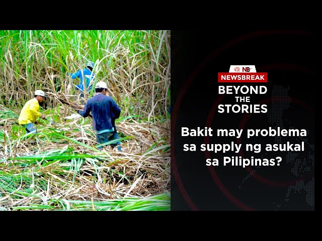 [PODCAST] Beyond the Stories: Bakit may problema sa supply ng asukal sa Pilipinas? 