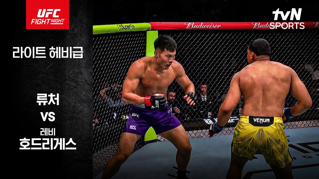 [UFC] 류처 vs 레비 호드리게스