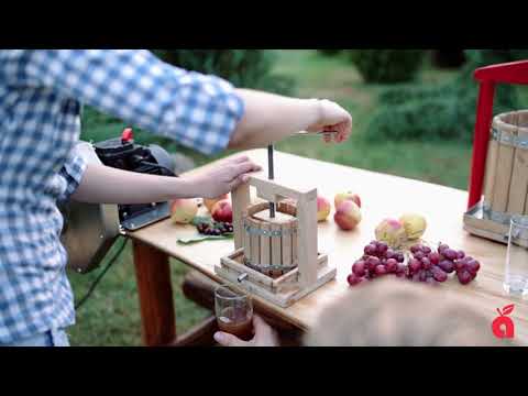 Mechanische Obstpresse VP-075 (Weinpresse Apfelpresse Beerenpresse Saftpresse)