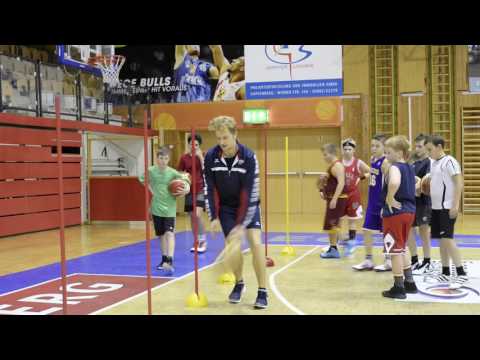 Jungbullen beim Training