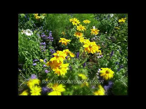 Mein Verstand spielt verrückt, was kann ich tun?