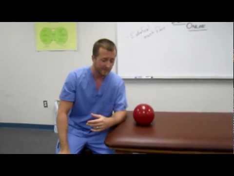 Neurophysiology of Somatic Dysfunctions (Neuroreflexive model)