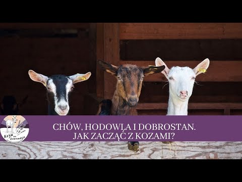 , title : '32 Chów, Hodowla i dobrostan zwierząt. Jak zacząć z kozami biznes?'