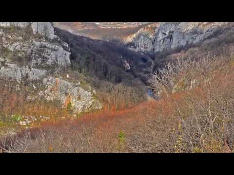 Tremendous Honking Concert by GM950 in Crisul Repede's Canyon (08 03 2014)