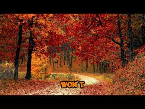 ARIA - We can't be friends no more(Lyrics) #wecantbefriends