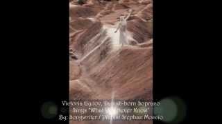 What You Never Know - Victoria Gydov