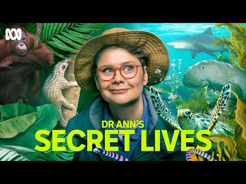 Thumbnail for video: First Look | Dr Ann's Secret Lives | ABC iview Thumbnail for video: First Look | Dr Ann's Secret Lives | ABC iview