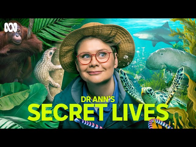 First Look | Dr Ann's Secret Lives | ABC iview