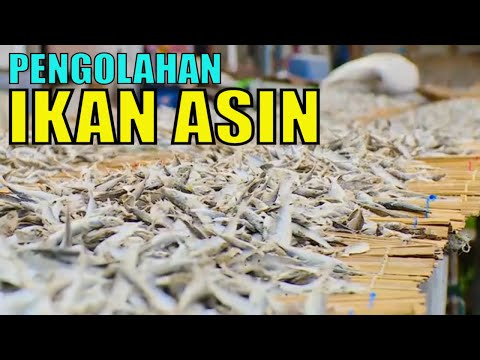 Intip Cara Pengolahan Ikan Asin | RAGAM INDONESIA (05/08/20)