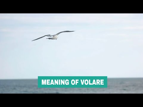 Meaning of volare