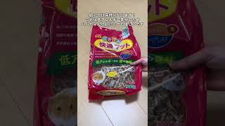 ハムスターを飼うときの初期費用はズバリ○○円！ #ハムスター #ハムスターのいる生活