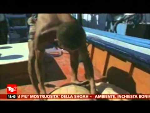 Progetto Tartanet - TG2 del 26 maggio 2014