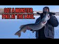 Video Thumbnail for Caught a massive pike, my personal best! ? #Pike #Fishing #PersonalBest