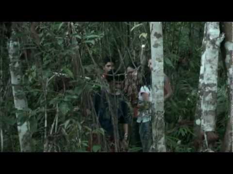 Críticas/Acesso/Horário de funcionamento do Centro de Pesquisa e Desenvolvimento Tasha | Ilha Bohol