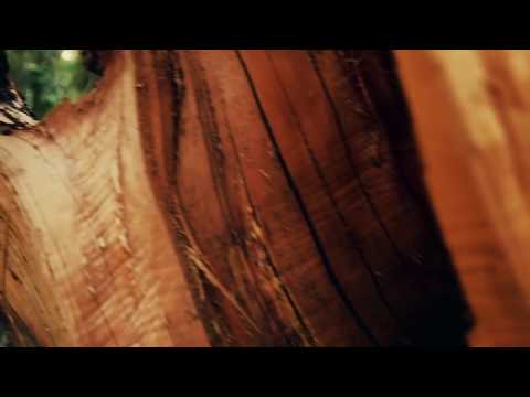 8Dio Scoring Contest - Ian LeCheminant