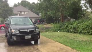 Raining Buckwheat Zydeco