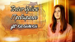 Ссылка
