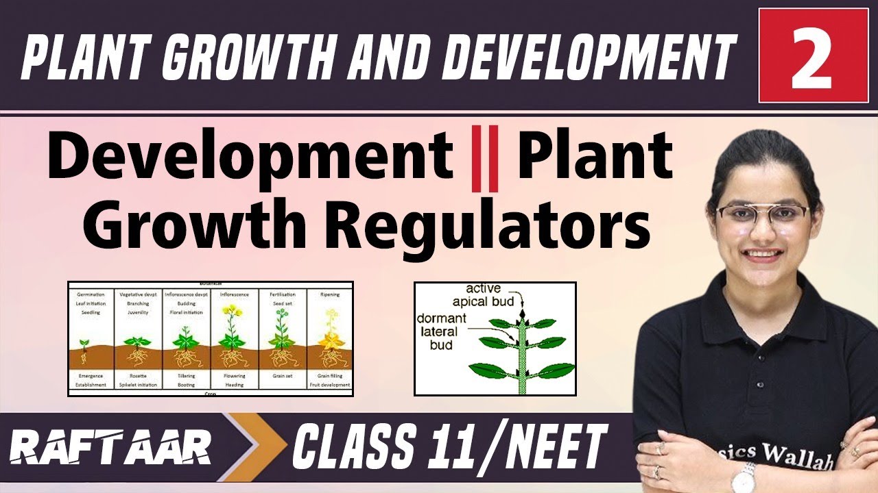 Plant Growth and Development 02 || Development || Plant Growth Regulators || Class11/NEET RAFTAAR