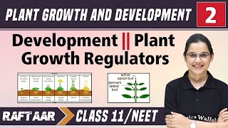 Plant Growth and Development 02 || Development || Plant Growth Regulators || Class11/NEET RAFTAAR