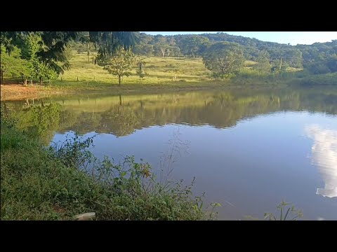 Chácara 8 ALQU VALOR 1.950.000 75kmGoiania MUNI CROMÍNIA 62 981414270 