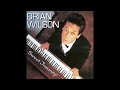 Brian Wilson - Make a Wish