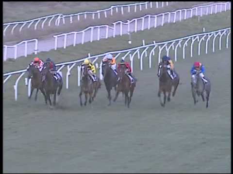 Galoppo 20/02/2015 - 4° corsa