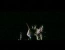 Turn Into by Yeah Yeah Yeahs