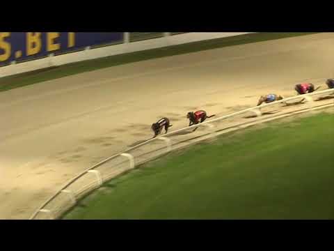 2018 STAR SPORTS DERBY STAYERS B - T5 GARRYGLASS CHAMP