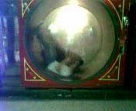 la ruota della tortura