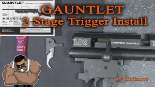 Gauntlet Two Stage Trigger Install
