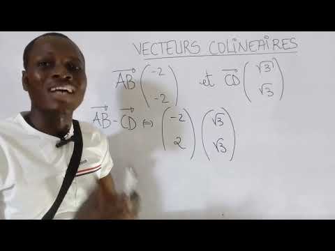 Proving two collinear vectors using coordinates (Maths - 3rd grade)