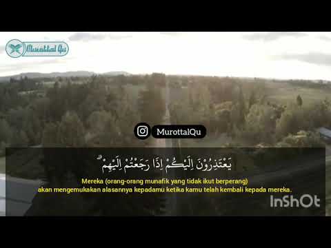 [ODOP #Juz 11] Surah At-Taubah (94-99) - Syaikh Misyari Rasyid Alafasy | Murottal Qu