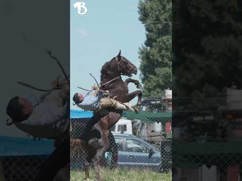 Festival Nacional de Gato y Mancha 2026, Alto Rio Senguer, Chubut, Argentina