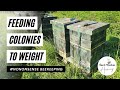 How Much To Feed Bees - Feeding Colonies to Weight - Feeding Bees to Weight - How To Weigh Bees