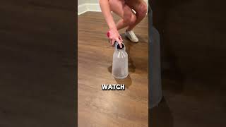 How To Easily Get Rid Of Cockroach Infestation (📸: trapdbugs)