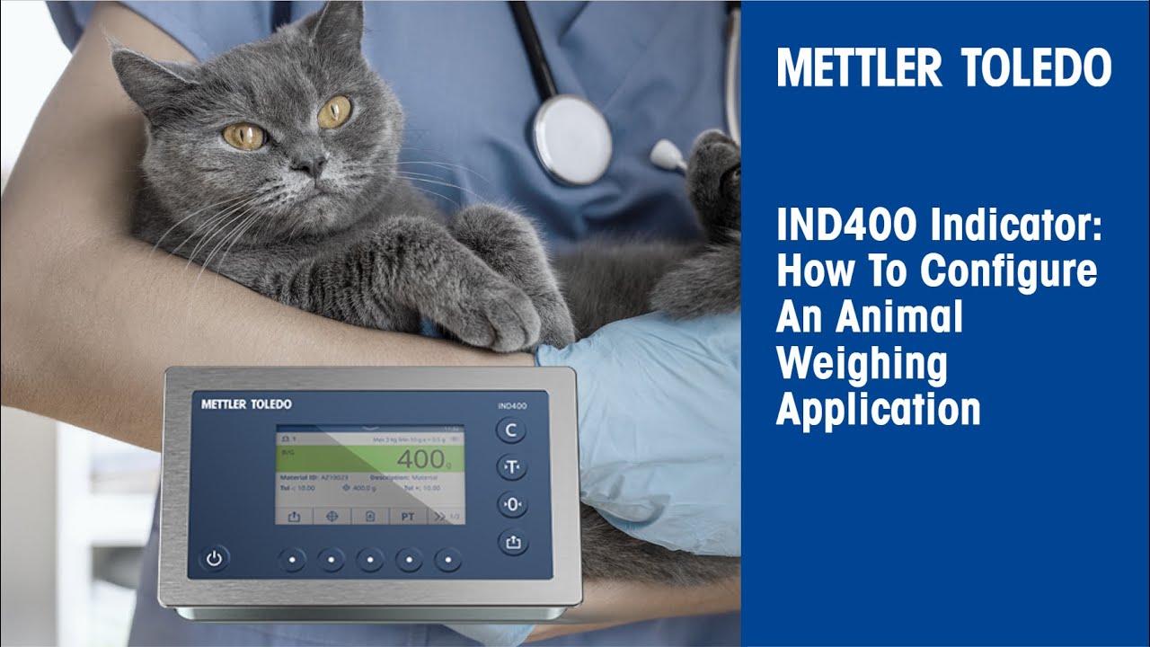 IND400 Indicator: How to Configure an Animal Weighing Application