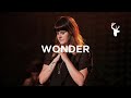 Wonder (Spontaneous) 