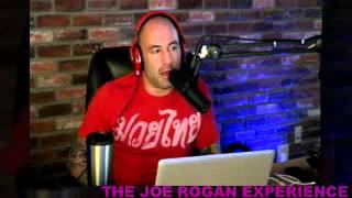 Joe Rogan Experience #308 - Steve Volk