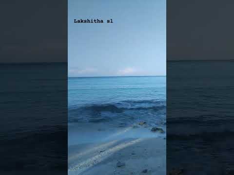 beach 🏝️🐬🏖️🏖️🏖️🏖️🤩