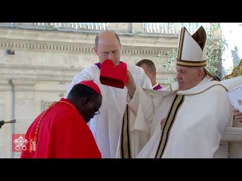 Highlights - Ordinary Public Consistory, 30 September 2023